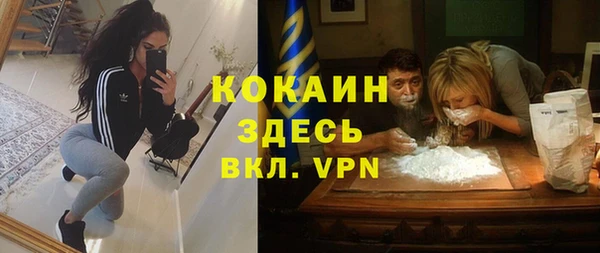 первитин Няндома