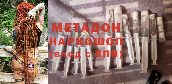 индика Алексин