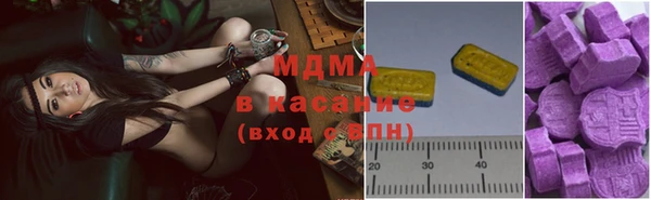 индика Алексин