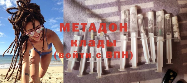 индика Алексин