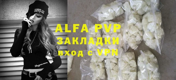 индика Алексин