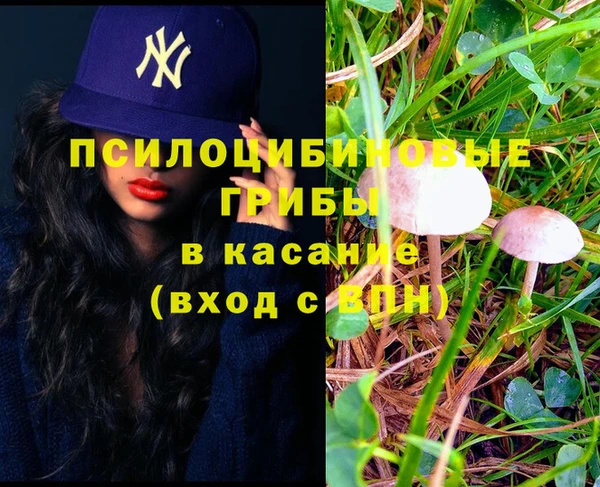 герыч Алзамай